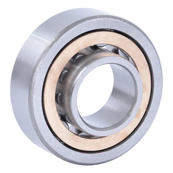 N203-N206 Cylindrical Roller Bearings for Large Electric Motors & Locomotives - Image 5