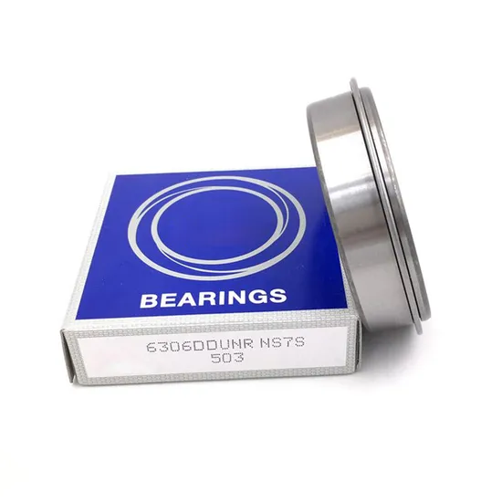 W6202-2Z W6302 W6302-2RS1 Deep Groove Ball Bearings – Factory Wholesale